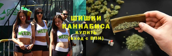 хмурый Бронницы
