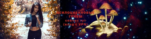 герыч Бородино