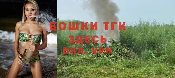 хмурый Бронницы
