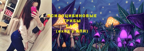 герыч Бородино