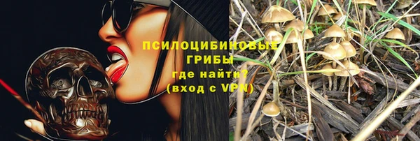 хмурый Бронницы